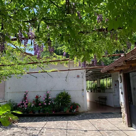Tra Fiori E Antichita Oda ve Kahvaltı Cerchiara