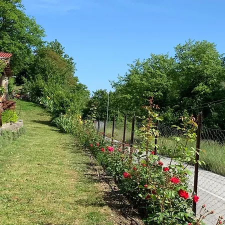 Tra Fiori E Antichita *