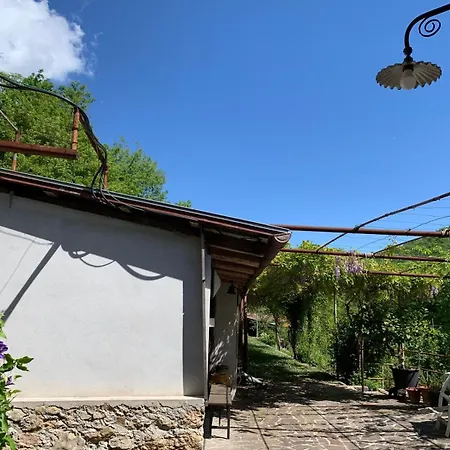 Tra Fiori E Antichita Cerchiara
