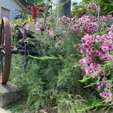 Tra Fiori E Antichita