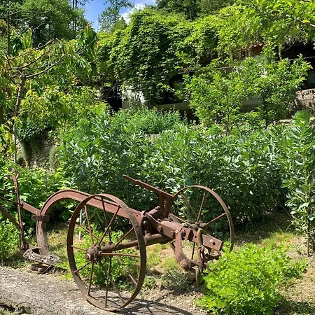 לינה וארוחת בוקר Tra Fiori E Antichita *