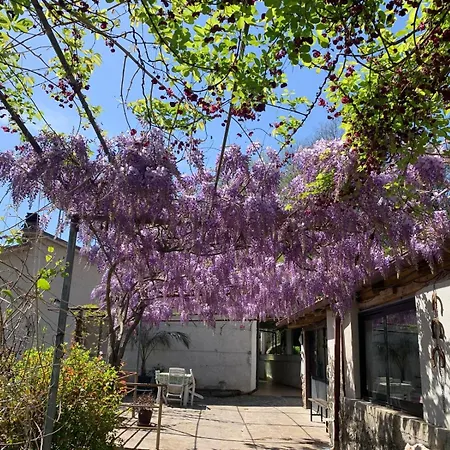 Tra Fiori E Antichita לינה וארוחת בוקר Cerchiara