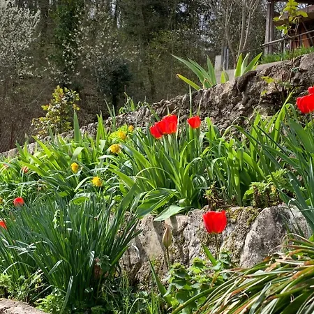 Tra Fiori E Antichita לינה וארוחת בוקר *