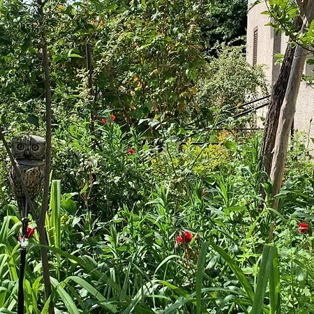 Oda ve Kahvaltı Tra Fiori E Antichita *