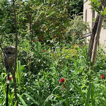 לינה וארוחת בוקר Tra Fiori E Antichita *