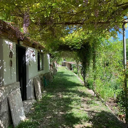 Tra Fiori E Antichita Cerchiara